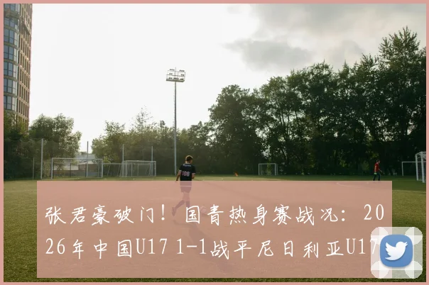 张君豪破门！国青热身赛战况：2026年中国U17 1-1战平尼日利亚U17，比赛全过程解析
